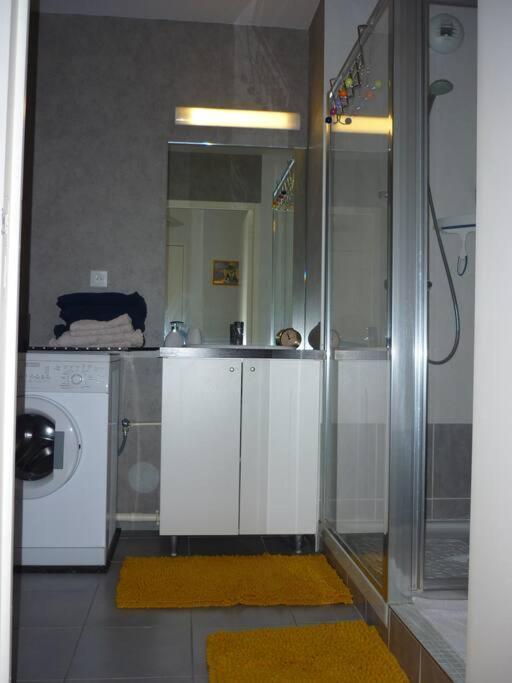 T3 De 70 M2 Idealement Situe Avec Garage 圣马洛 外观 照片