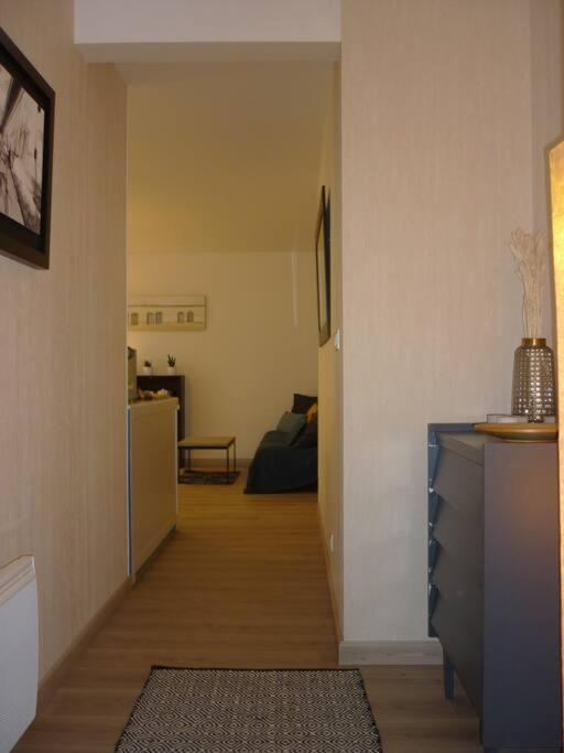 T3 De 70 M2 Idealement Situe Avec Garage 圣马洛 外观 照片